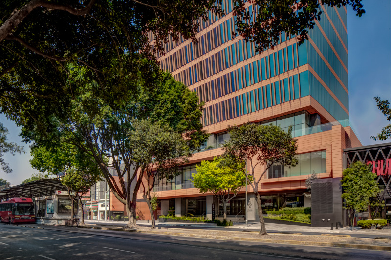 Corporativo Carracci